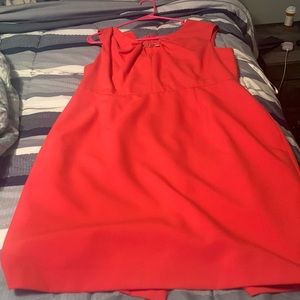 Calvin Klein dress pinkish